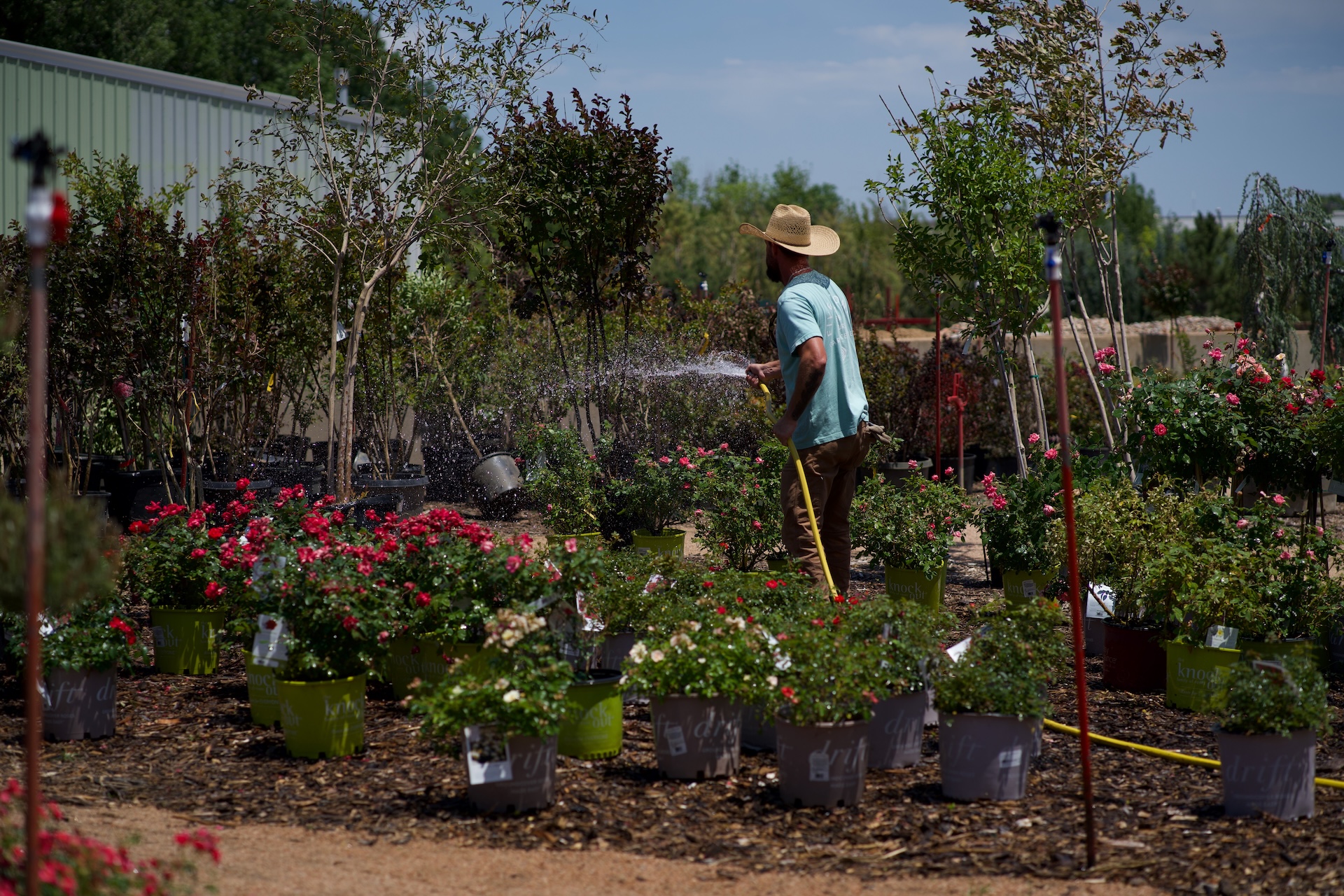 Garden Center Okc Ok Five Stones Nursery Okc Contact Page 05